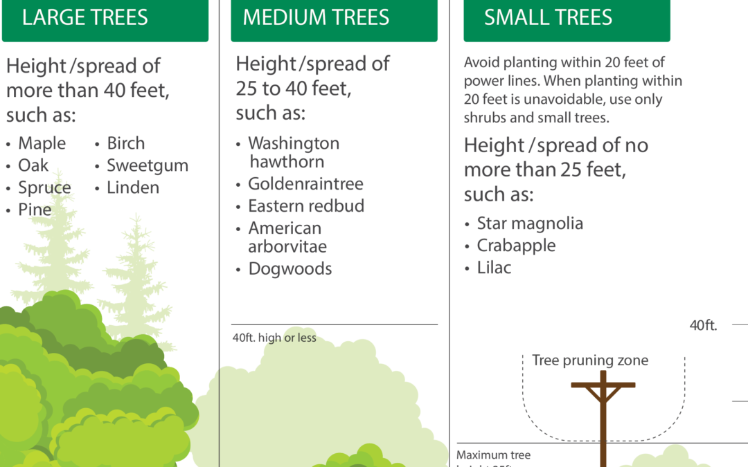 Plant the right tree in the right place