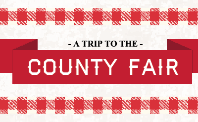 Dawson PPD 2016 financial report: A trip to the county fair