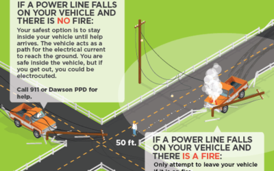 What to do: If your car crashes into a utility pole