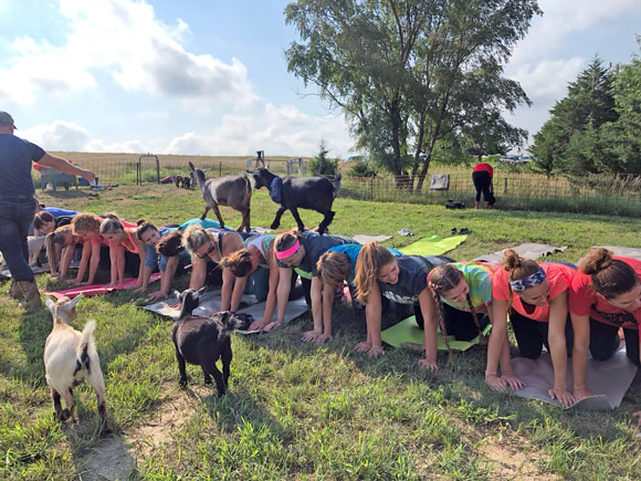 Just ‘kidding’ around: Goat yoga offers laughter in the pasture