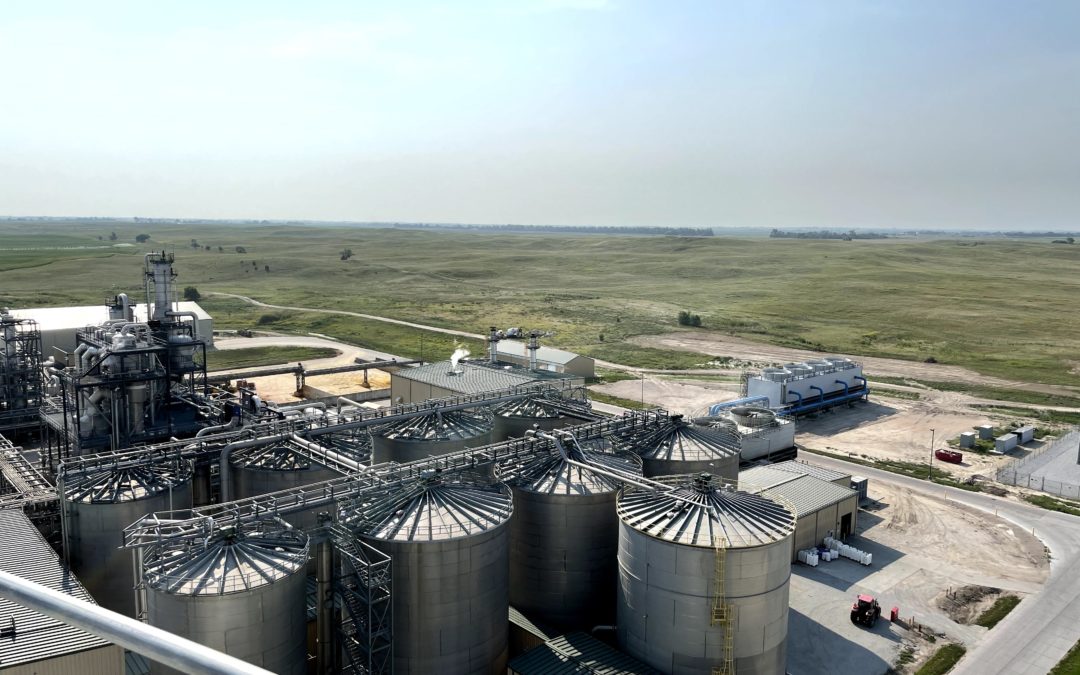 Efficiency key to competitive ethanol market