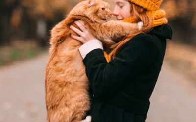 3 tips to show your pets some love