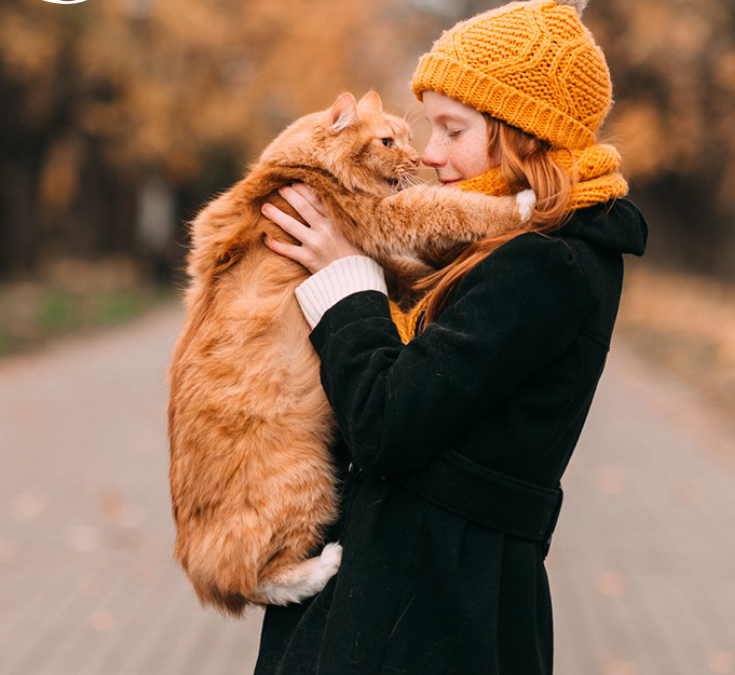 3 tips to show your pets some love