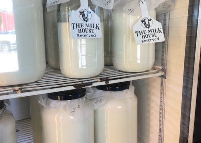 Cow's milk from a recent milking cools in glass jars in The Milk House storefront.