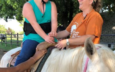 Volunteers needed for therapy horse program