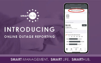 Introducing online outage reporting