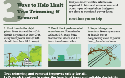3 ways to help limit tree trimming & removal