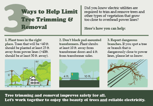 Three ways to limit tree trimming and removal. 1. Plant trees in the right place. 2. Don't block pad-mounted transformers. 3. Report dangerous branches.